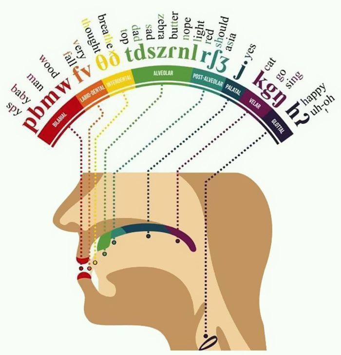 Pronunciation IPA diagram